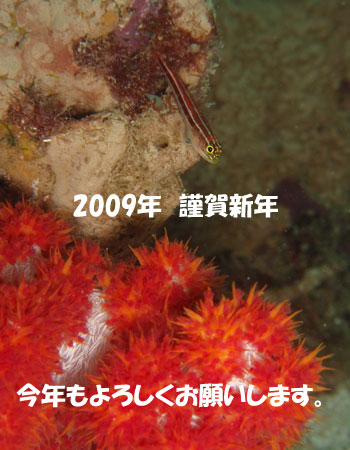 20090101-01.jpg